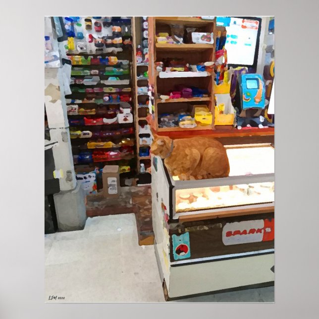 Bodega Cat Canvas Print (Front)