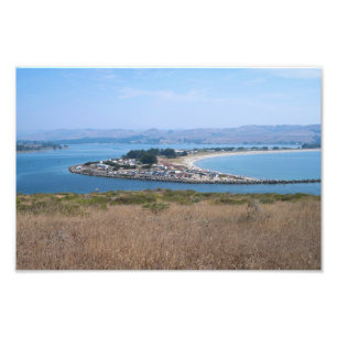 Bodega Harbour and Doran Park Photo Print