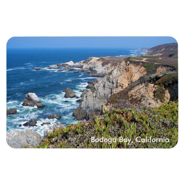 Bodega Head Rugged Coast and Trail Magnet (Horizontal)