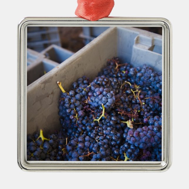 Bodega Marques de Riscal winery, grapes Metal Tree Decoration (Front)