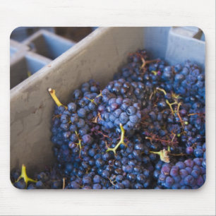 Bodega Marques de Riscal winery, grapes Mouse Mat