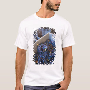 Bodega Marques de Riscal winery, grapes T-Shirt