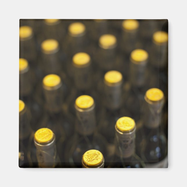 Bodega Marques de Riscal winery, wine bottles Magnet (Front)