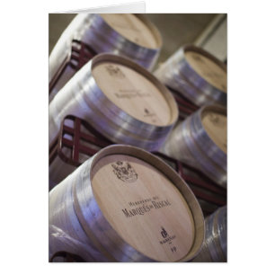 Bodega Marques de Riscal winery, wine cellar