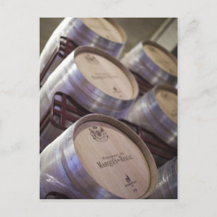 Bodega Marques de Riscal winery, wine cellar 2 Postcard