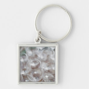 Bodega Marques de Riscal winery, wine tasting Key Ring