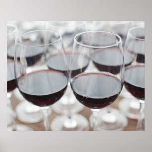 Bodega Marques de Riscal winery, wine tasting Poster