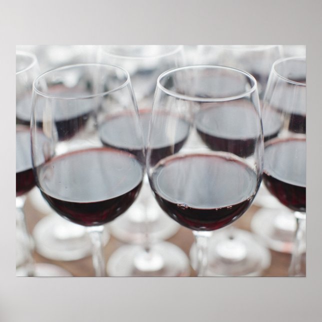 Bodega Marques de Riscal winery, wine tasting Poster (Front)