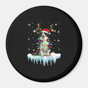 Boder Colline Reindeer Christmas Present Magnet