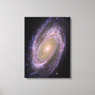 Bode's Galaxy Canvas Print