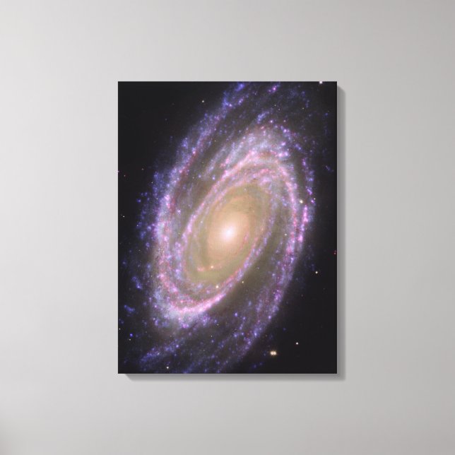 Bode's Galaxy Canvas Print (Front)