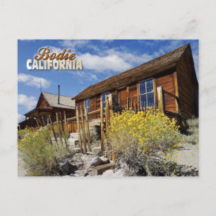 Bodie Ghost Town, California Postcard