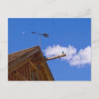 Bodie Ghost Town Point The Way Postcard