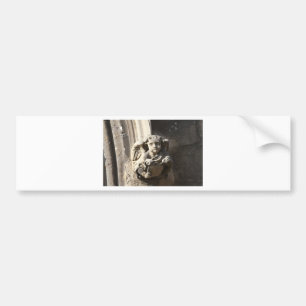 Bodleian library bumper sticker