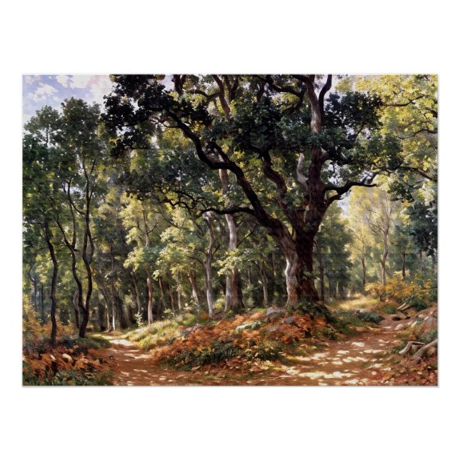 Bodmer Oak Poster (Front)