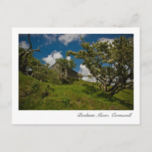 Bodmin Moor, Cornwall Postcard