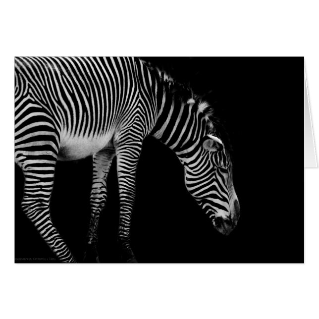 Body Language Card (Front Horizontal)