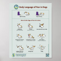 Body Language of Fear in Dogs Poster