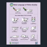 Body Language of Feline Anxiety Poster<br><div class="desc">These posters developed by Dr. Sophia Yin and illustrated by Lili Chin show both the common and more subtle signs of fear and anxiety in cats.</div>