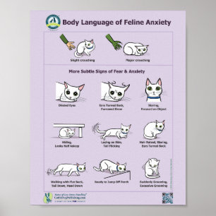 Body Language of Feline Anxiety Poster