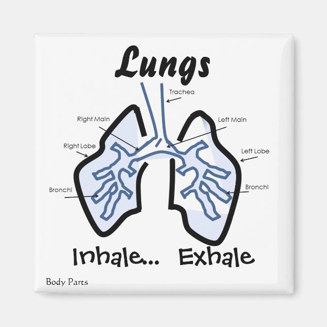 Body Parts -- Human Lungs Magnet (Front)