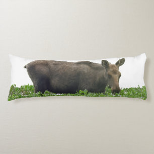Body Pillow of moose
