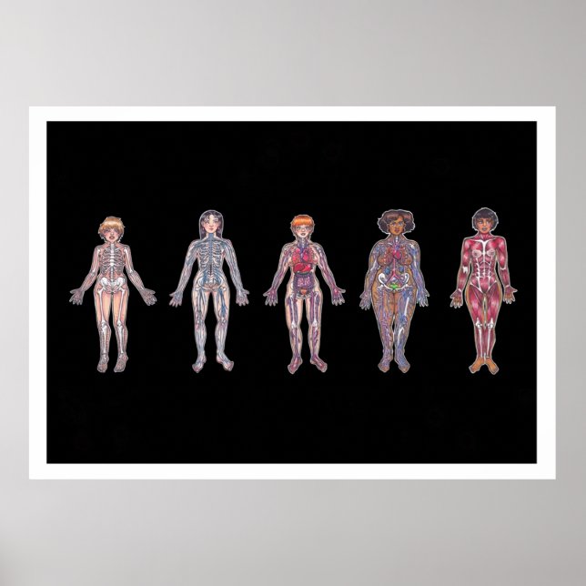 Body Systems - combined Poster (Front)