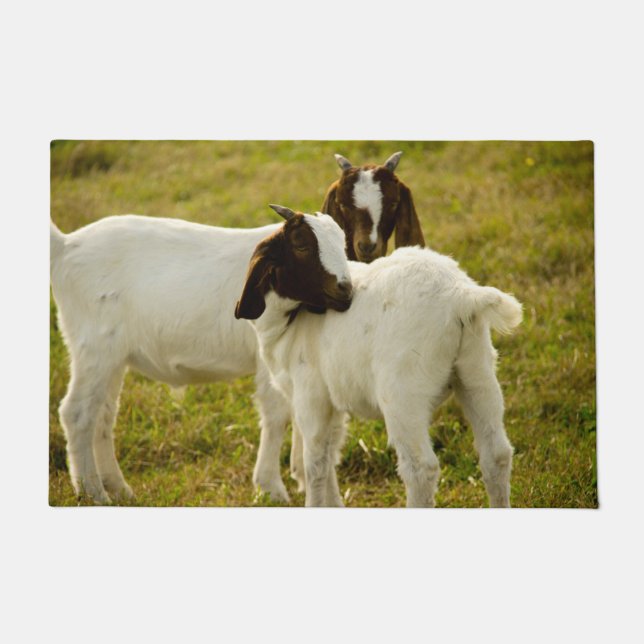 Boer Goats Cute Field Doormat (Front)