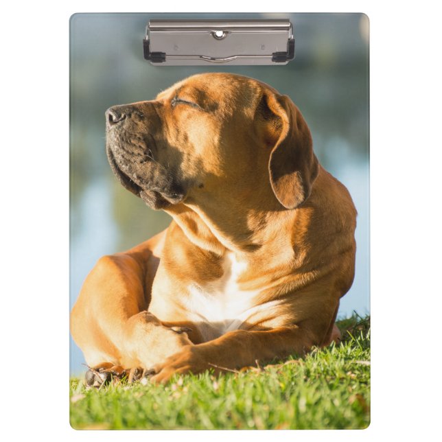 Boerboel Clipboard (Front)