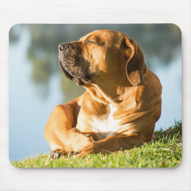 Boerboel Gel Mouse Pad (Front)