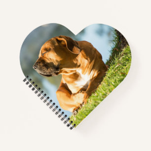 Boerboel Notebook