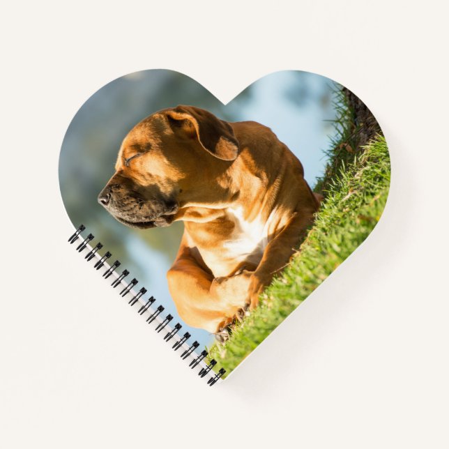 Boerboel Notebook (Front)