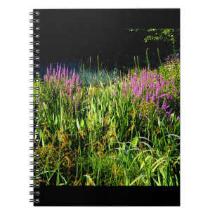 Bog Garden Notebook