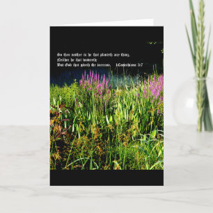 Bog Garden with 1 Corinthians 3:7 Thank You Card