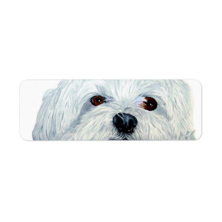 Bogart the Maltese