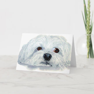 Bogart the Maltese Greeting Card