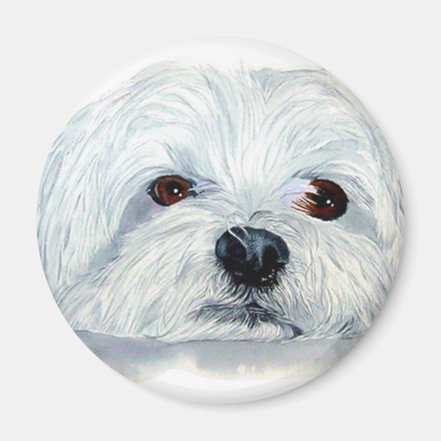 Bogart the Maltese Magnet (Front)