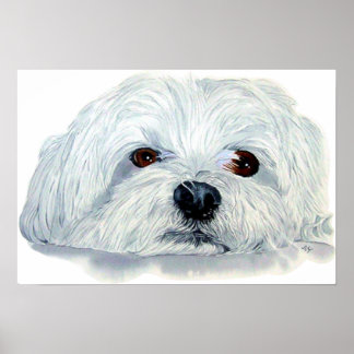 Bogart the Maltese Print