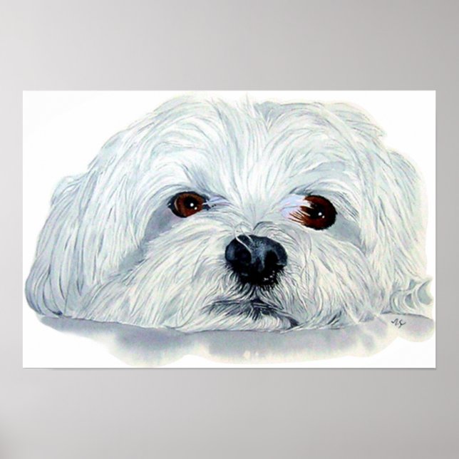 Bogart the Maltese Print (Front)