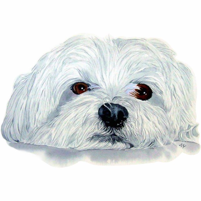 Bogart the Maltese Sculpture Standing Photo Sculpture (Front)