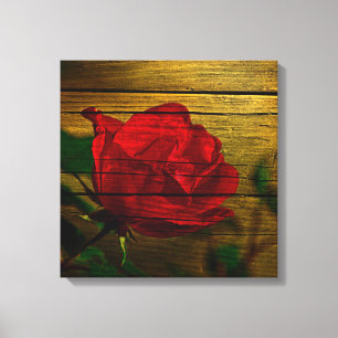Bohemian barn woodgrain Valentine's day Red Rose Canvas Print
