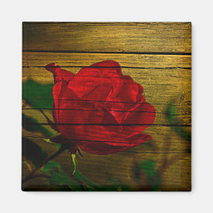Bohemian barn woodgrain Valentine's day Red Rose Magnet