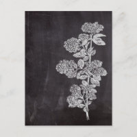 Bohemian Chic french country chalkboard botanical