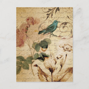 Bohemian chic  Paris Scripts bird french botanical Postcard