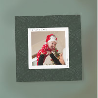 Bohemian Evergreen Fern Modern Minimalist