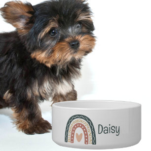 Bohemian Rainbow Monogram Pet Feeding