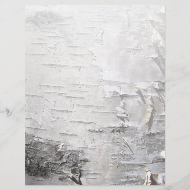 bohemian rustic country chic tree bark white birch (Front)