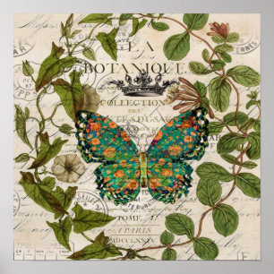 bohemian scripts french botanical butterfly poster