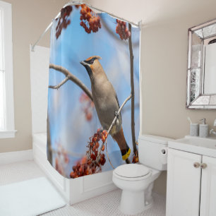 Bohemian Waxwing, Blue Sky Background Shower Curtain