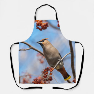 Bohemian Waxwing, Majestic Bird Apron